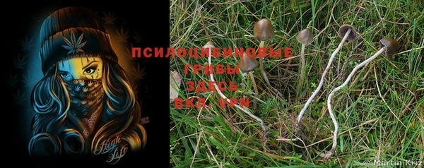 apvp Горно-Алтайск